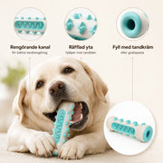 Hundgummi – slitstark hundleksak