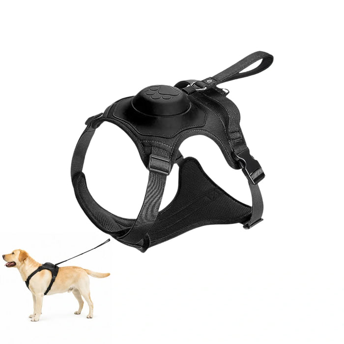 Hundsele med Inbyggt Flexikoppel – Smidigare Promenader Utan Trassel