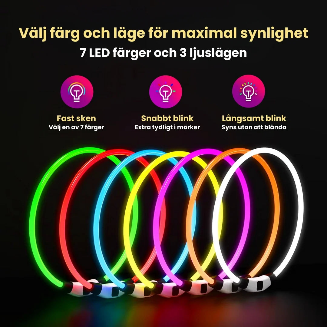 MultiGlow LED-halsband för hund och katt – One Size