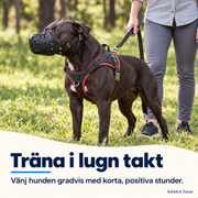 Munkorg för Stora Hundar – Justerbar