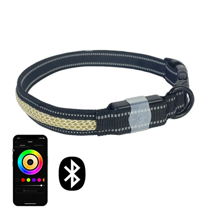 Uppladdningsbart LED-halsband för hund
