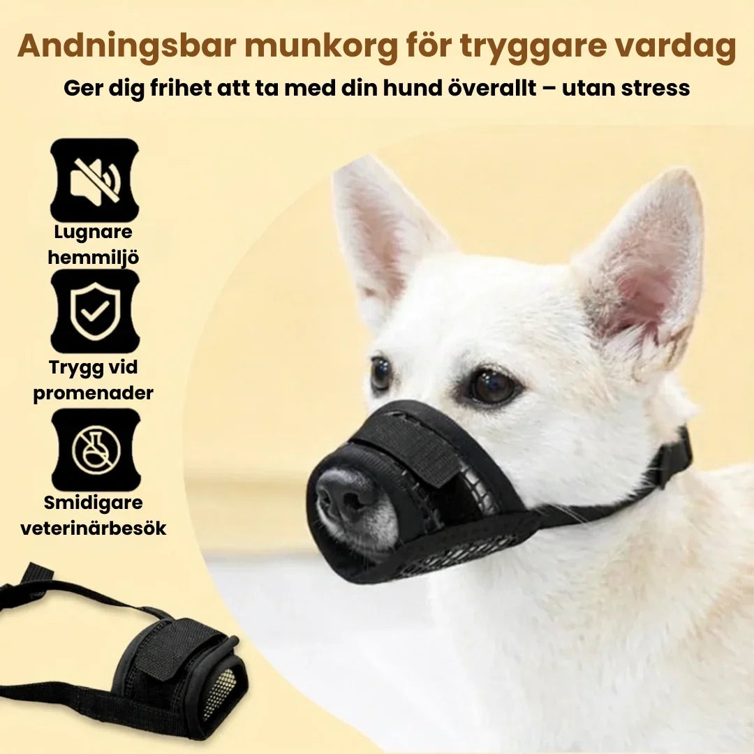 Munkorg för Hund – Tryggare Promenader och Möten
