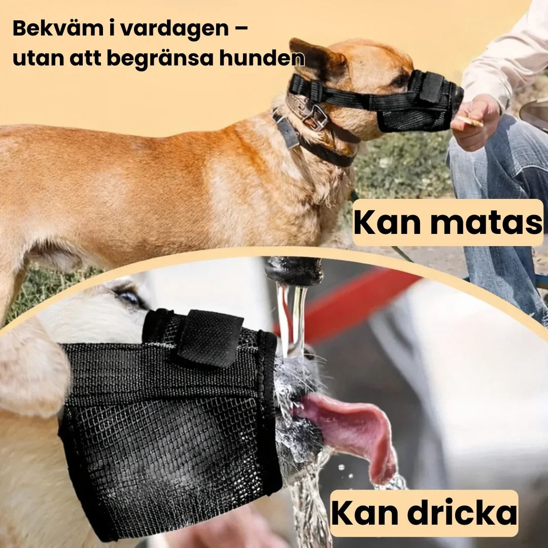 Munkorg för Hund – Tryggare Promenader och Möten