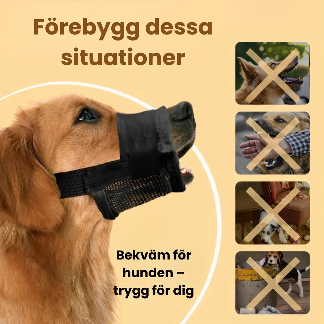 Munkorg för Hund – Tryggare Promenader och Möten