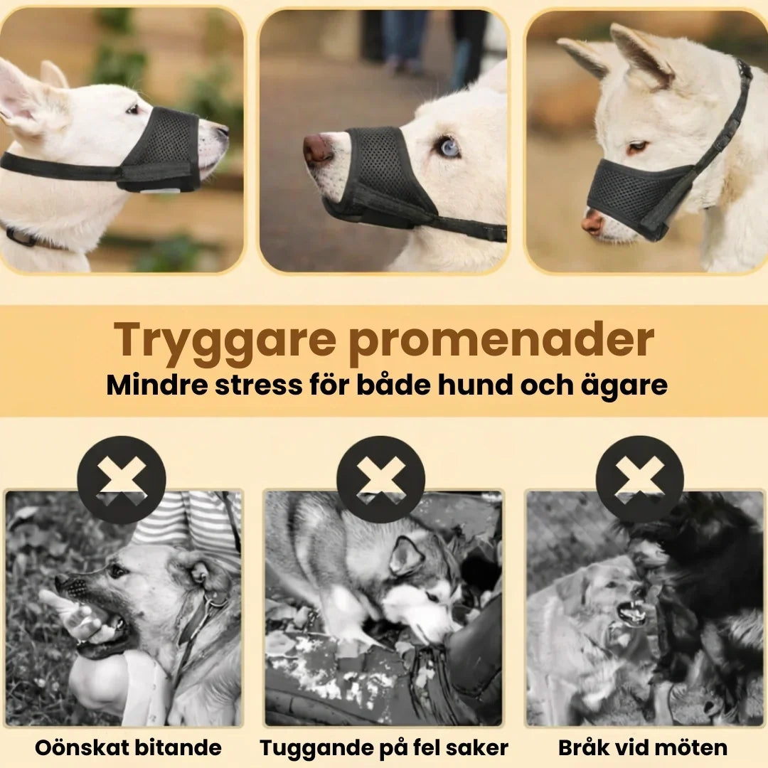 Munkorg för Hund – Tryggare Promenader och Möten