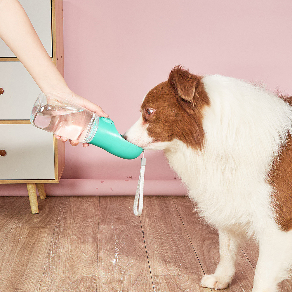 Smart Hundflaska med Vattenskål – Vatten På Språng