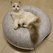 Mysig kattsäng med tunnel