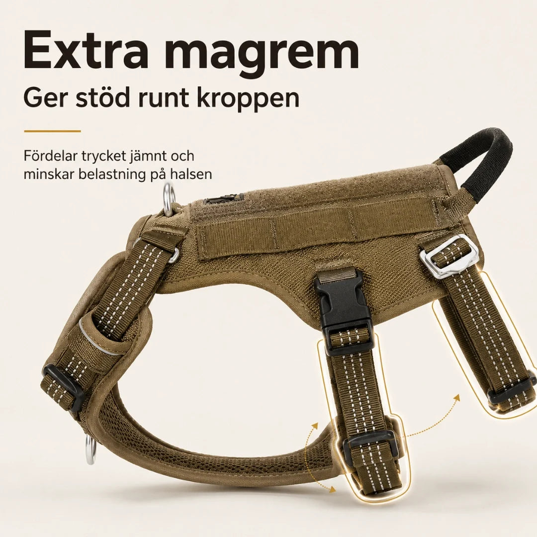 Prosafex dragsele för hund