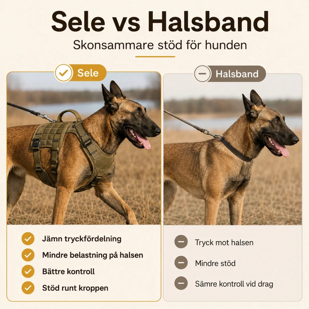Prosafex dragsele för hund