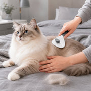 Självrengörande Pälsborste för Hund & Katt