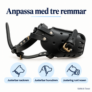 Munkorg för Stora Hundar – Justerbar