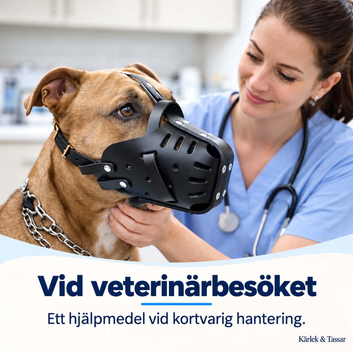 Munkorg för Stora Hundar – Justerbar