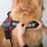 Detixy justerbar hundsele med reflex