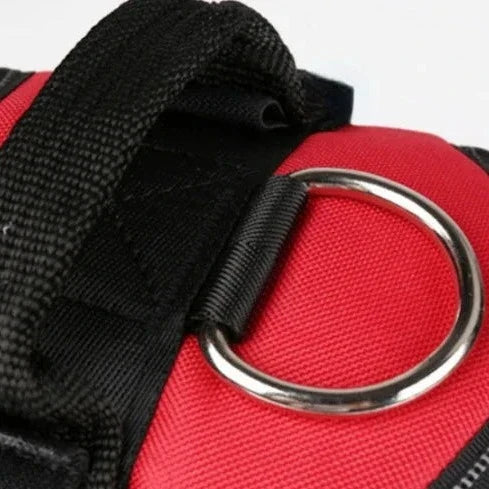 Detixy justerbar hundsele med reflex