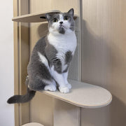 Kattklätterträd för dörr – 4 nivåer