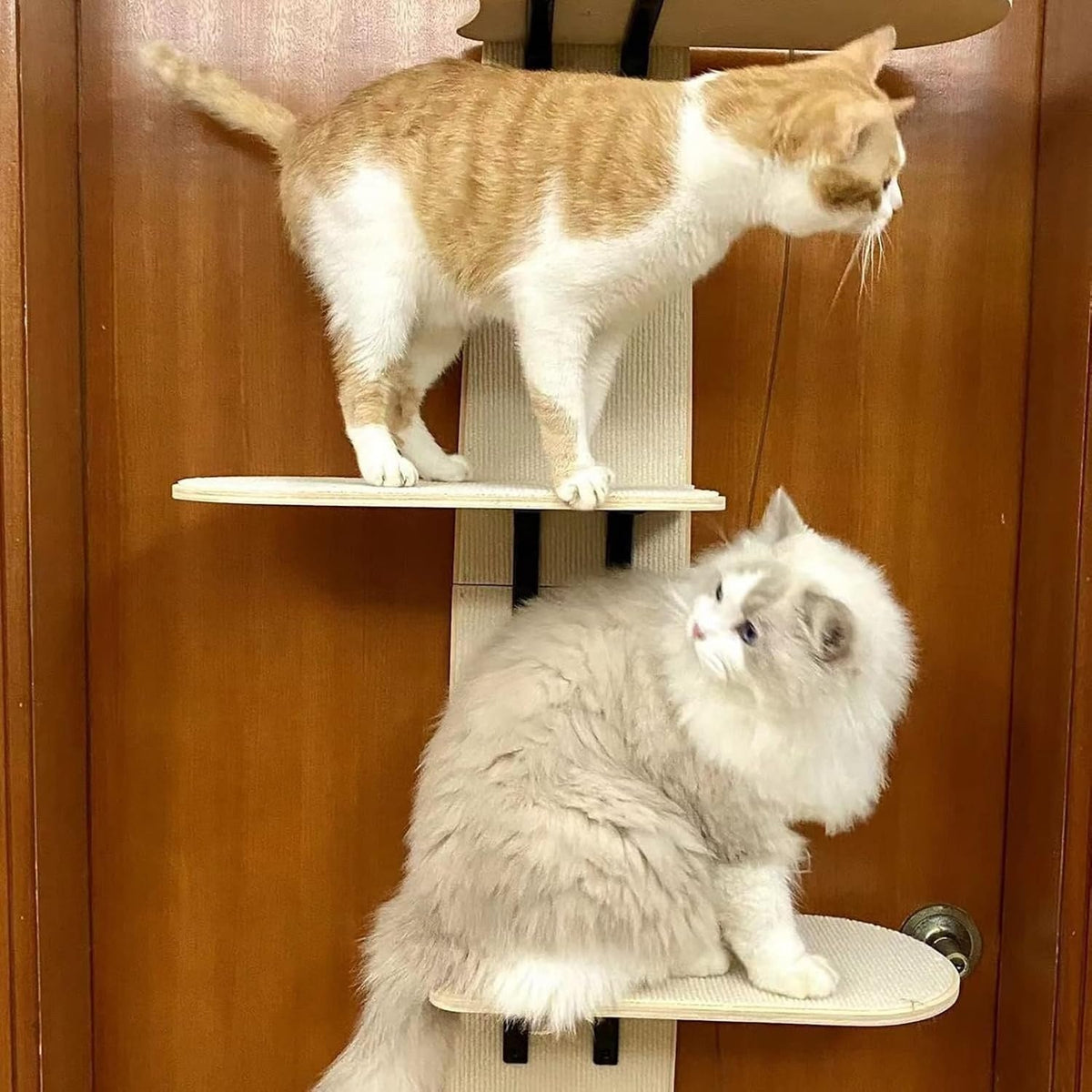 Kattklätterträd för dörr – 4 nivåer