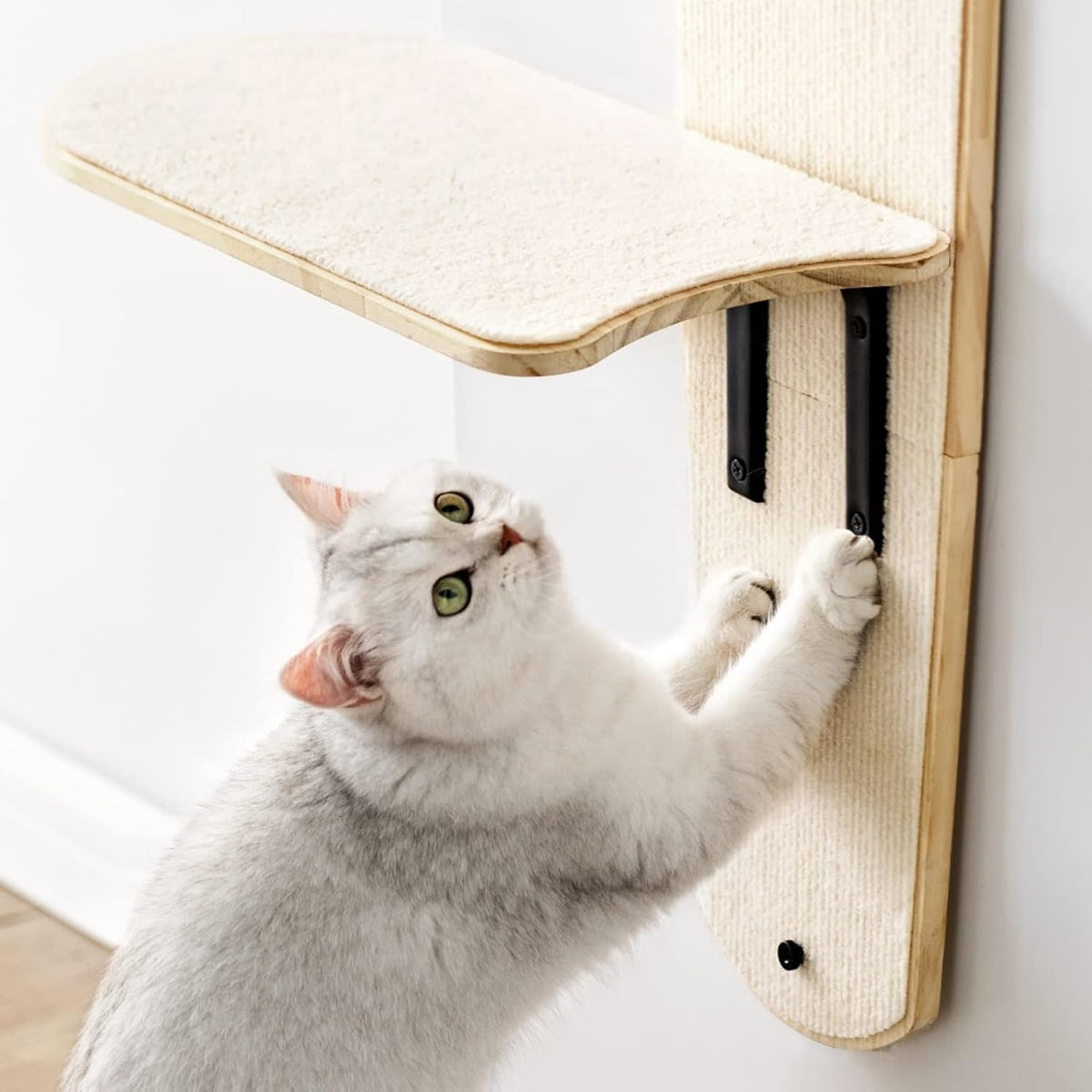 Kattklätterträd för dörr – 4 nivåer