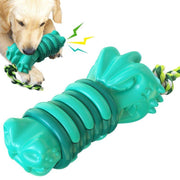 Hundgummi – slitstark hundleksak