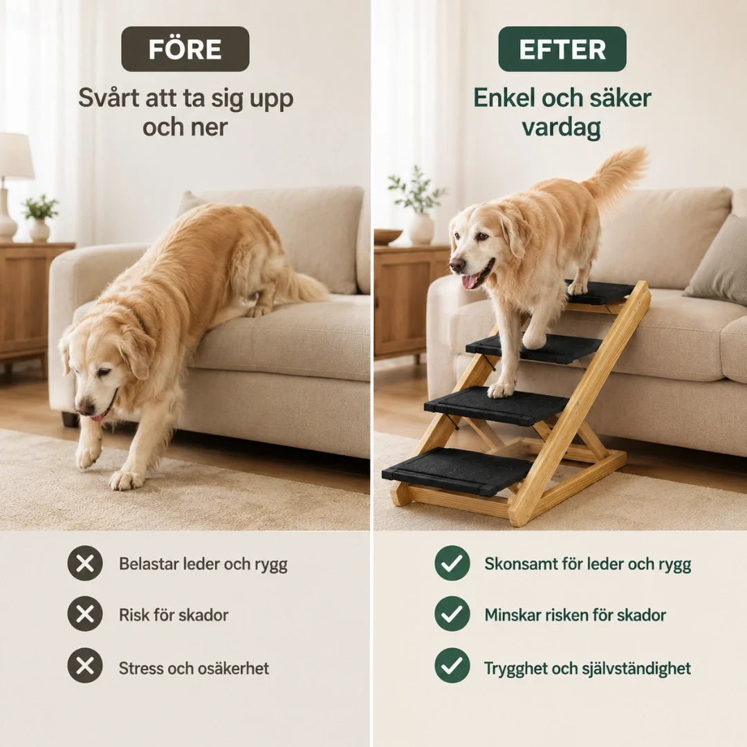 2-i-1 hundtrappa