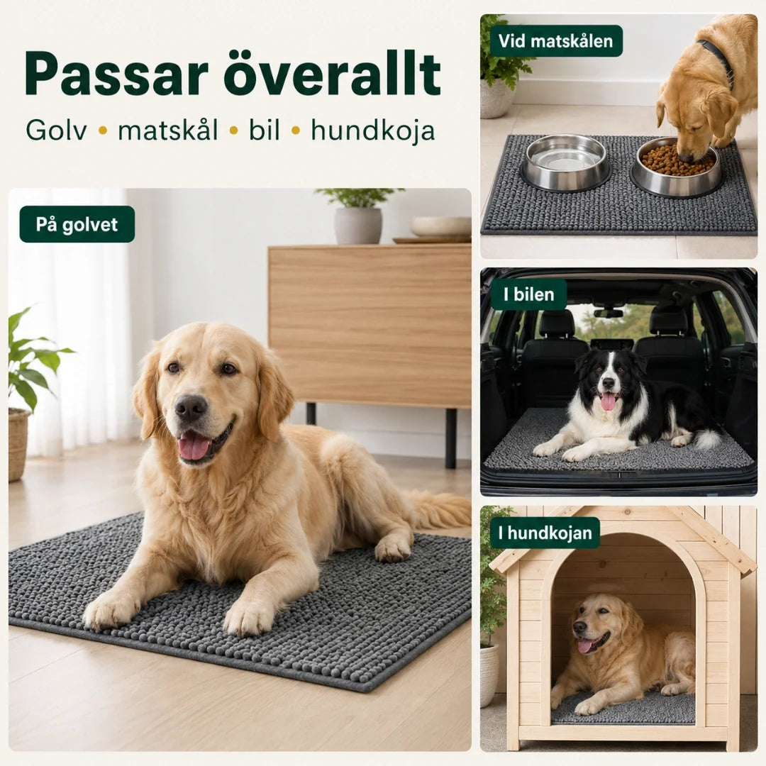 Torrtass absorberande tassmatta för hund