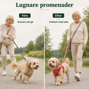 Blommig justerbar hundsele