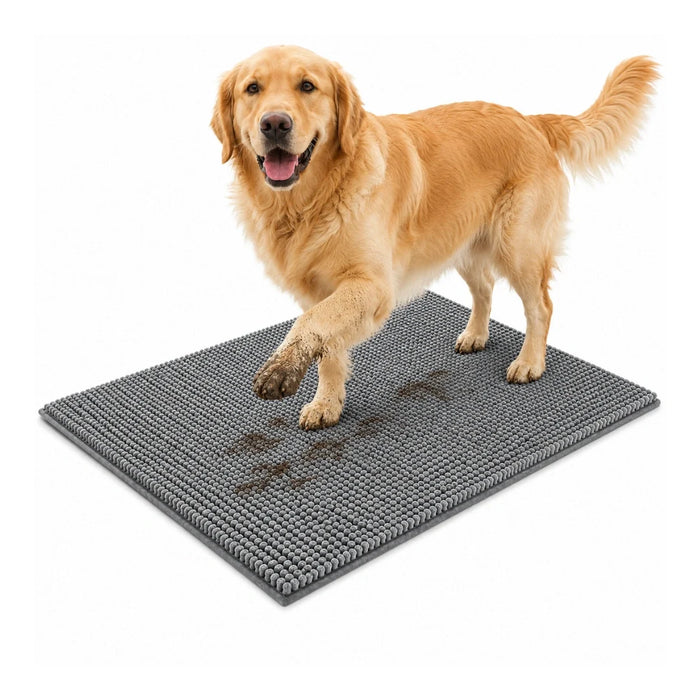 Torrtass absorberande tassmatta för hund