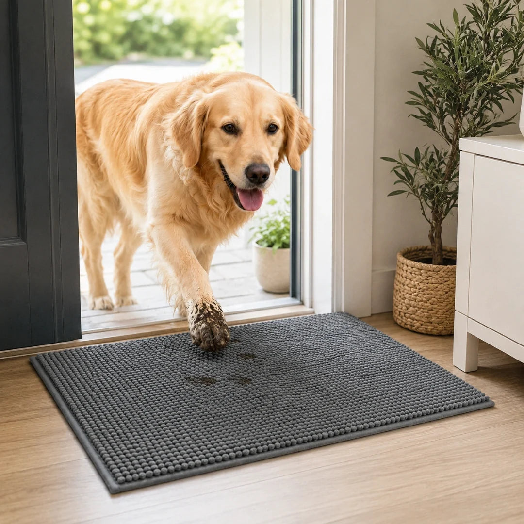 Torrtass absorberande tassmatta för hund