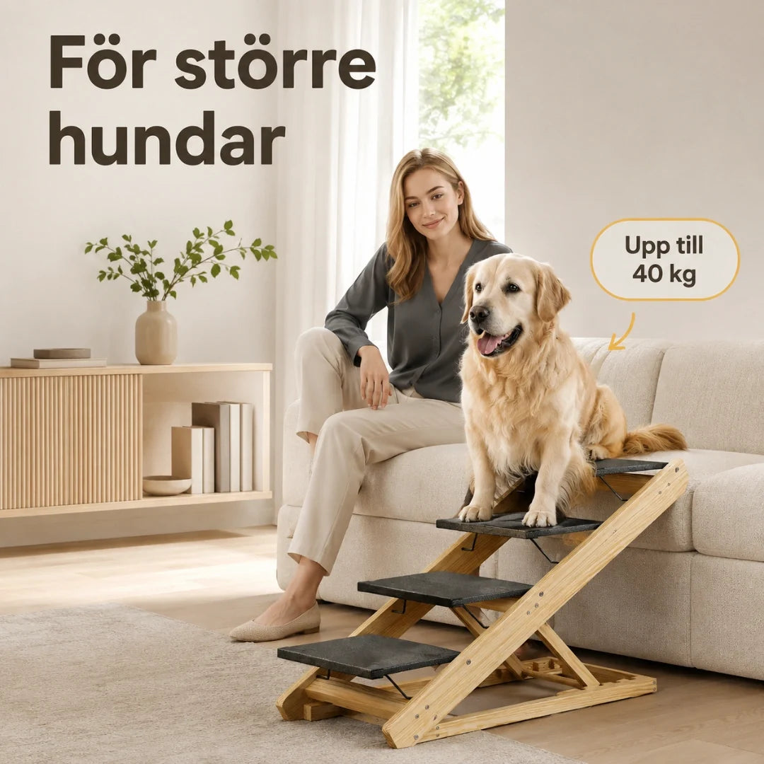 2-i-1 hundtrappa